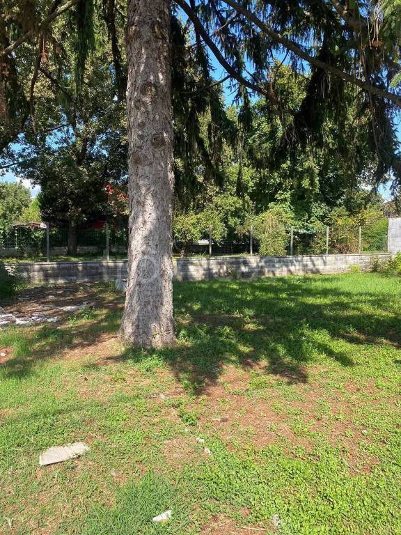 immagine annuncio 8 di 12