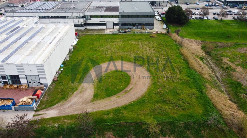 immagine annuncio 2 di 4