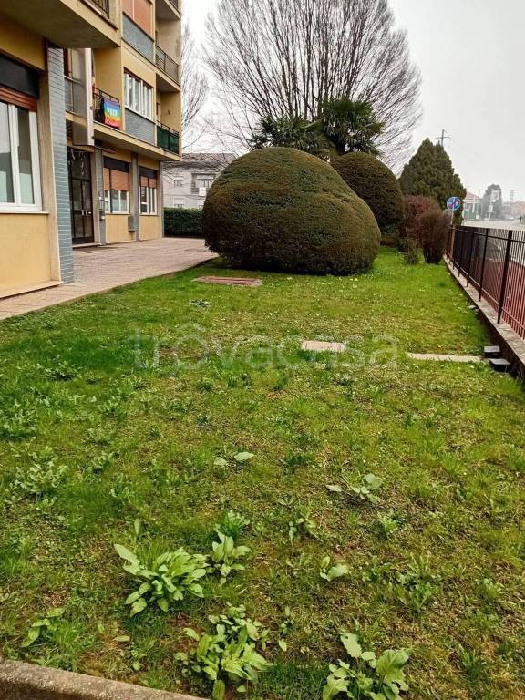 immagine annuncio 4 di 6