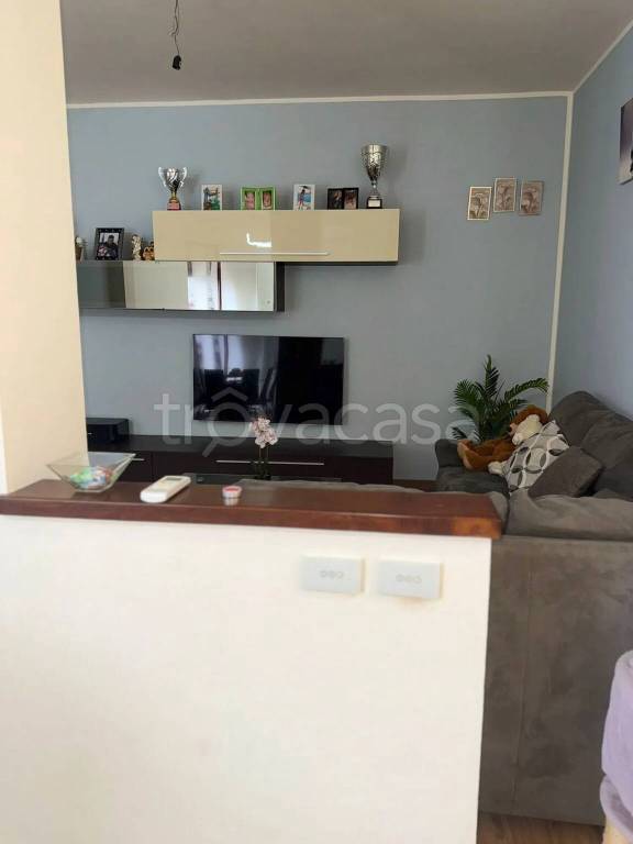 immagine annuncio 9 di 12