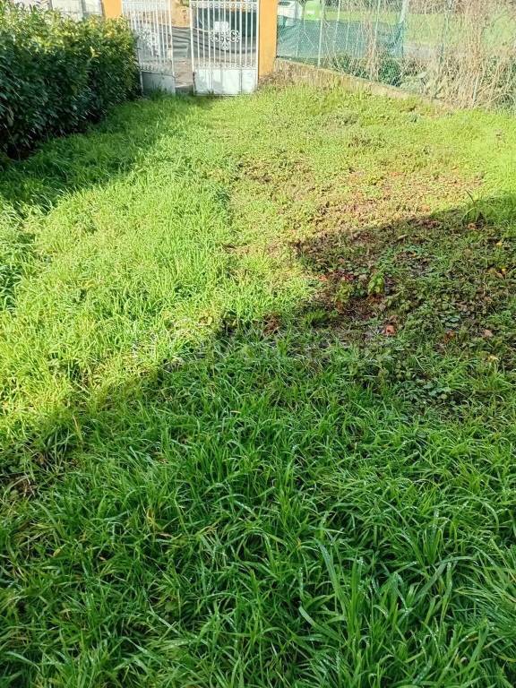 immagine annuncio 2 di 7