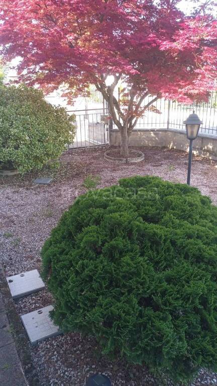 immagine annuncio 3 di 9