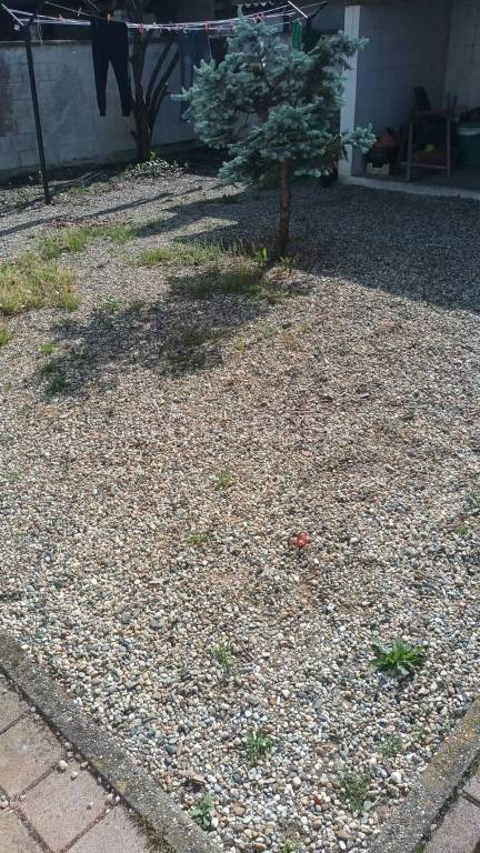 immagine annuncio 5 di 9