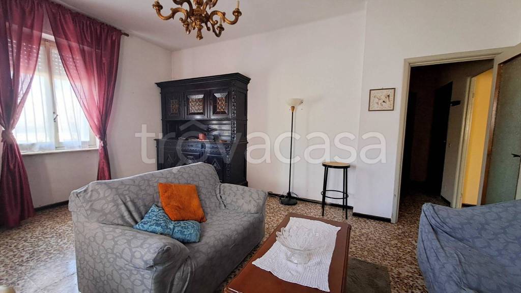 immagine annuncio 3 di 12