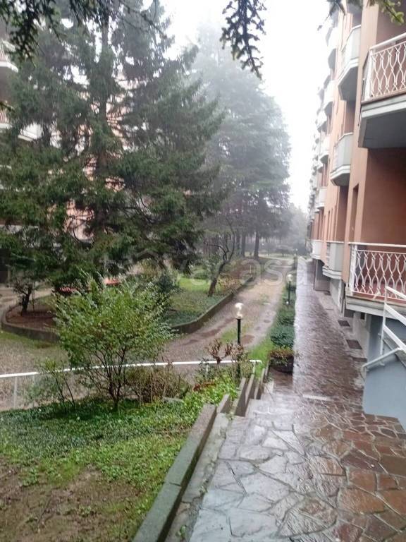 immagine annuncio 11 di 13