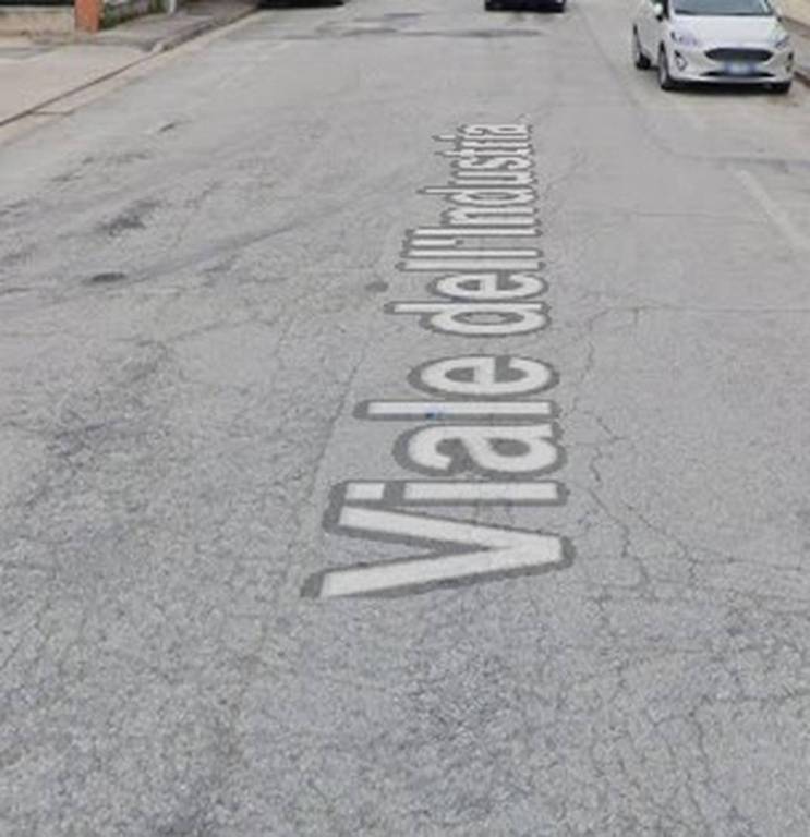 immagine annuncio 3 di 11