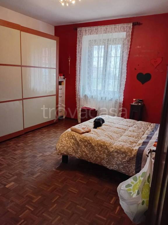 immagine annuncio 1 di 12