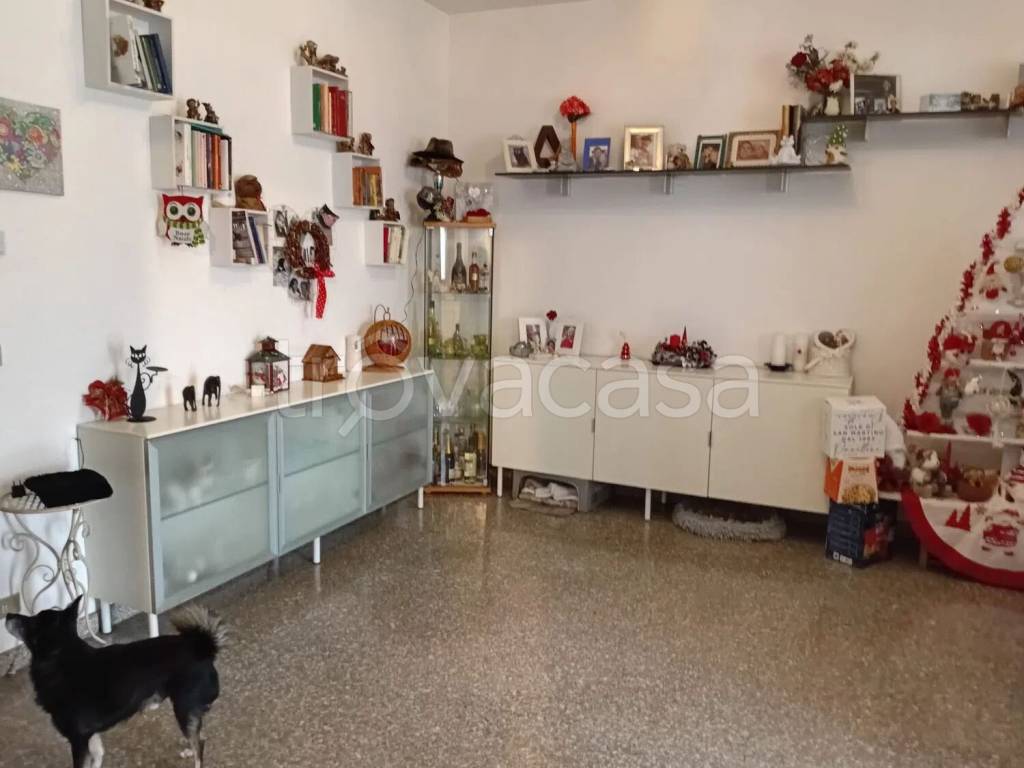 immagine annuncio 8 di 12