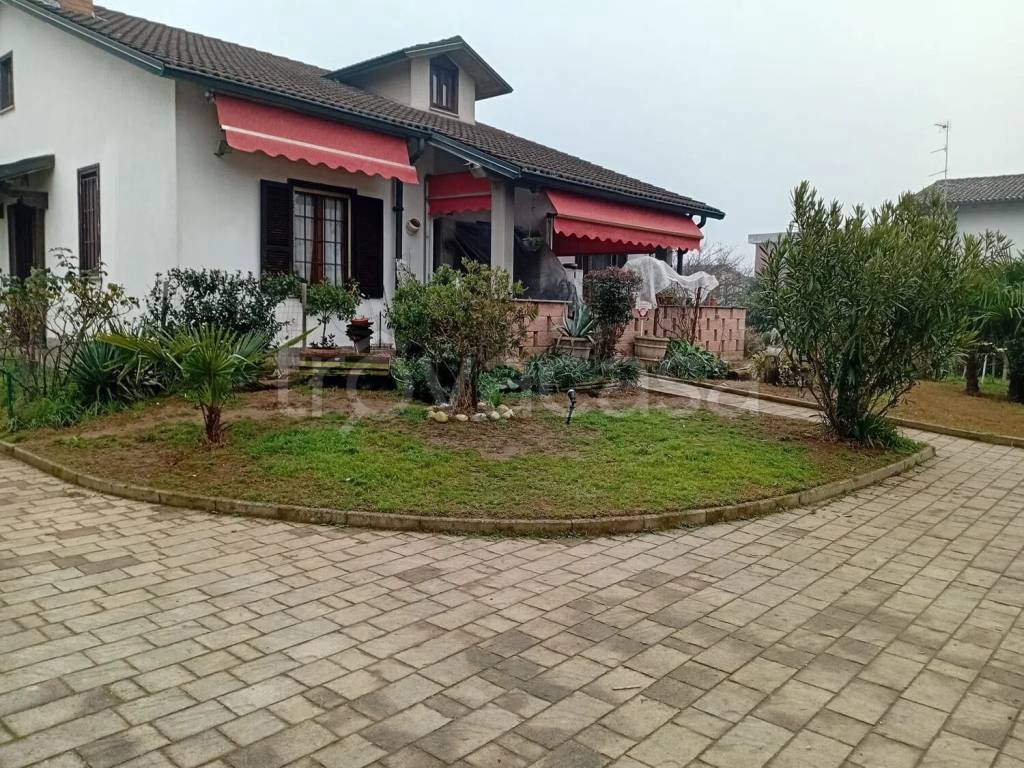 immagine annuncio 11 di 12