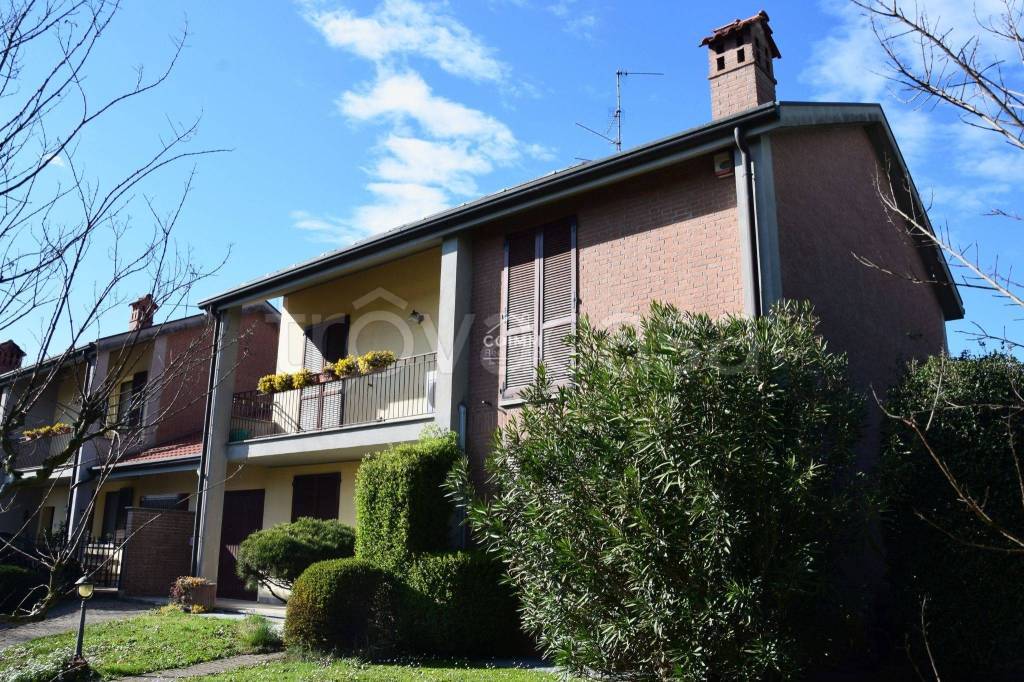 immagine annuncio 3 di 15