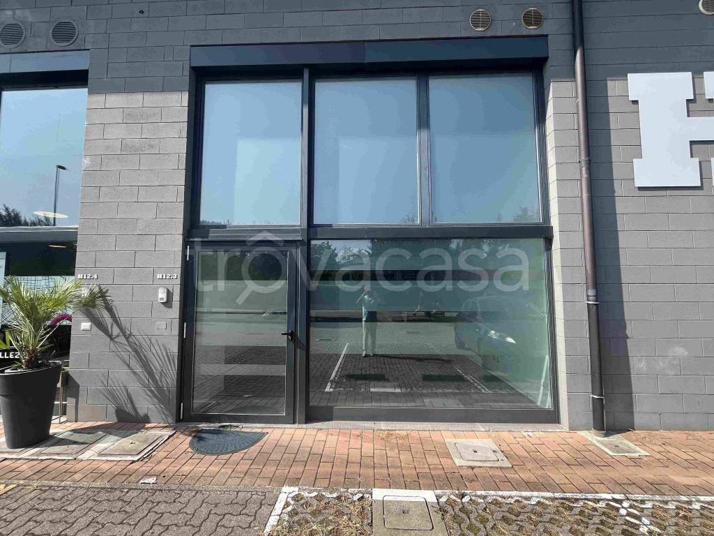 immagine annuncio 2 di 12