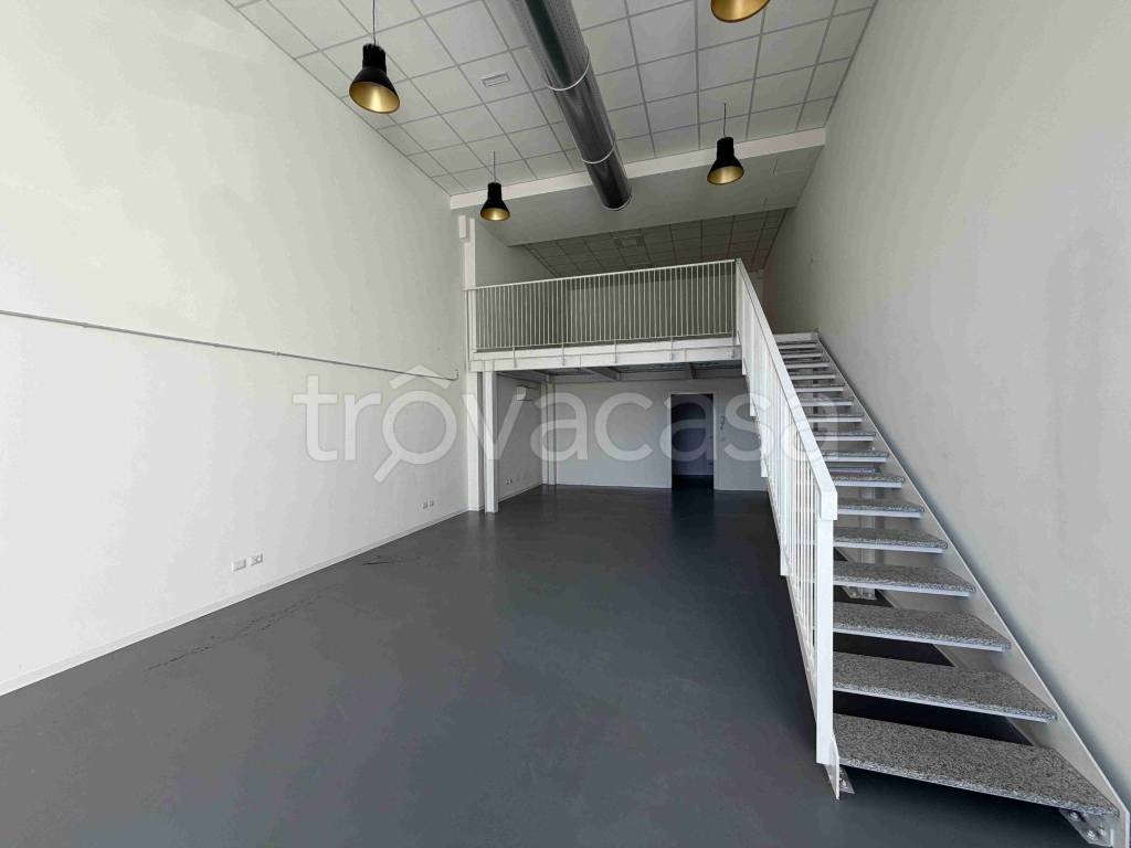 immagine annuncio 7 di 12