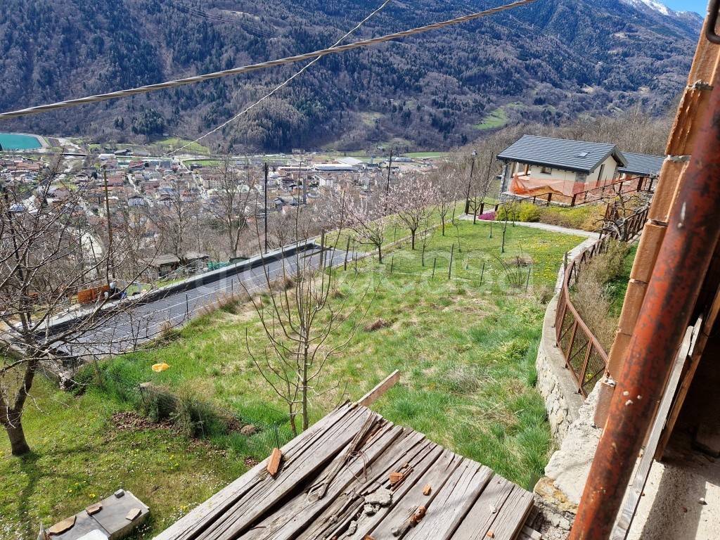 immagine annuncio 6 di 15