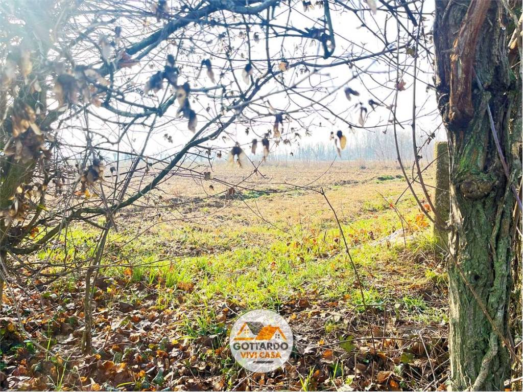 immagine annuncio 1 di 6