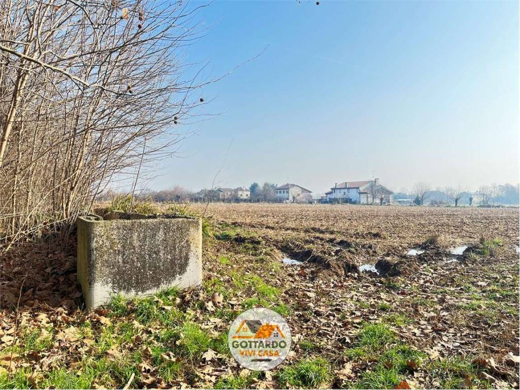 immagine annuncio 3 di 6