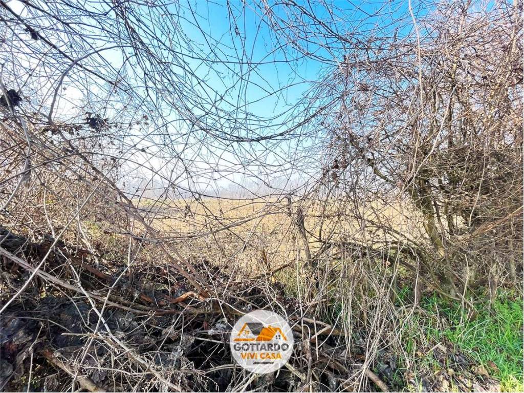 immagine annuncio 4 di 6