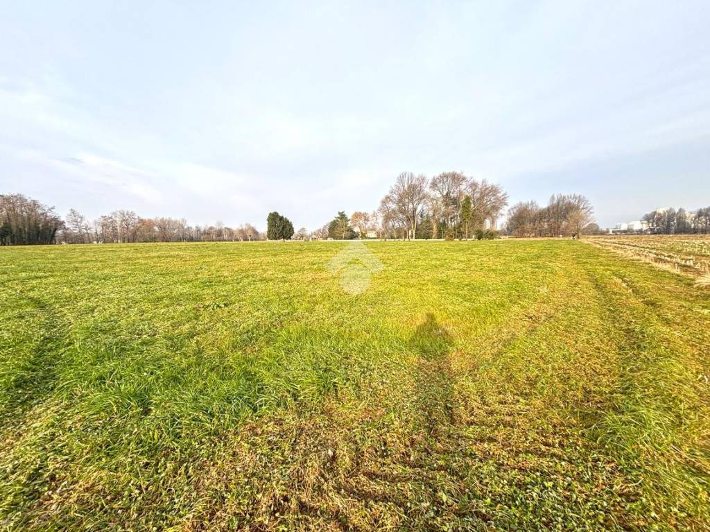 immagine annuncio 6 di 14