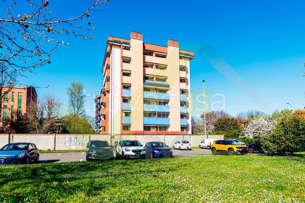 immagine annuncio 1 di 14