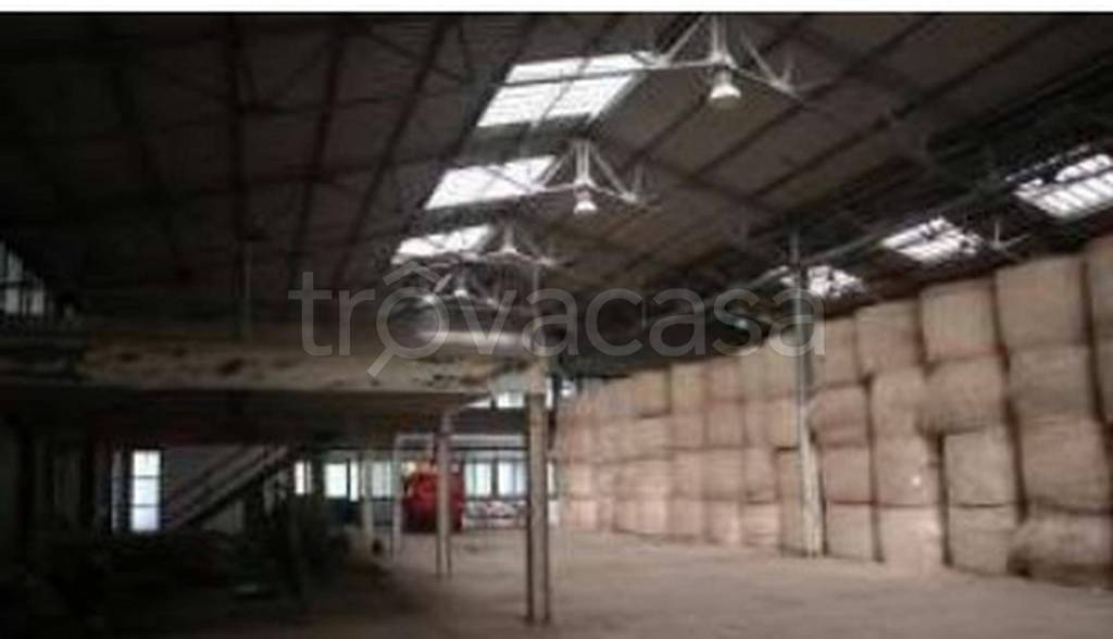 immagine annuncio 9 di 13