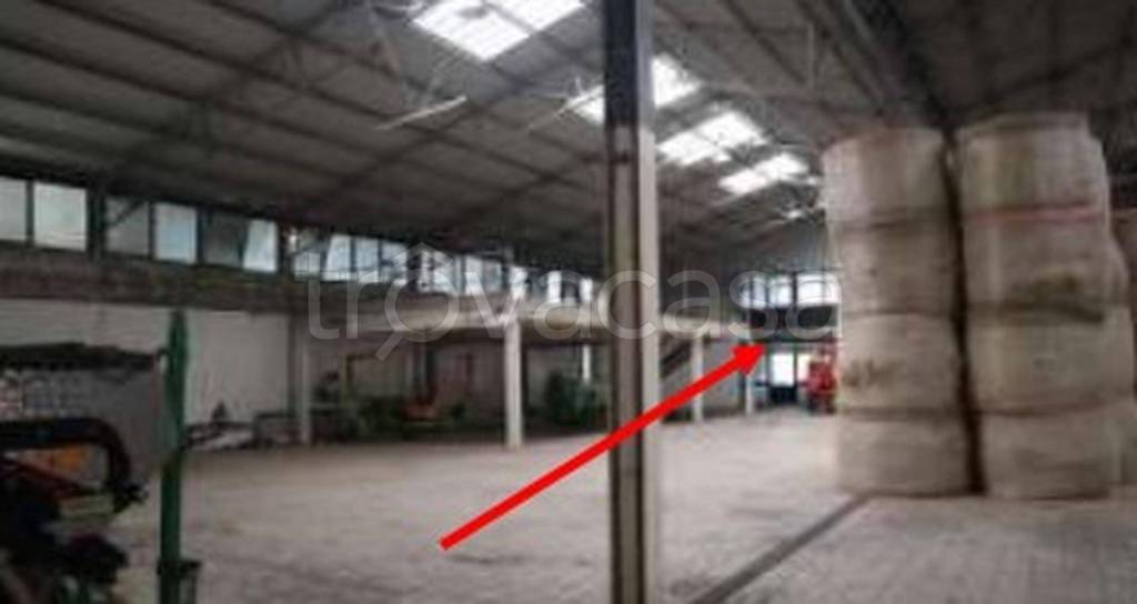 immagine annuncio 10 di 13