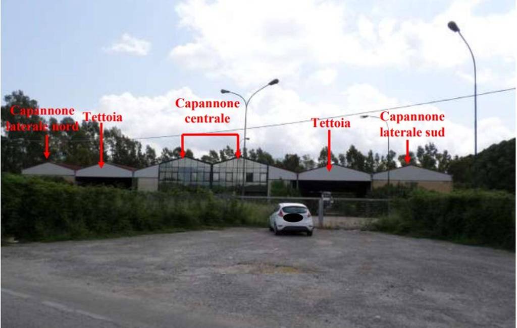 immagine annuncio 11 di 13