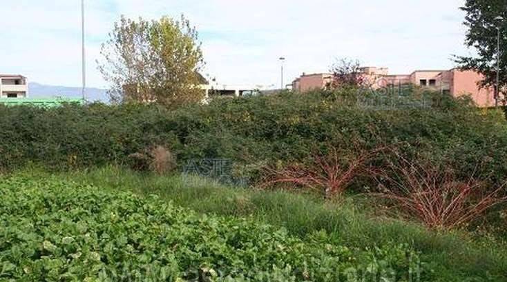 immagine annuncio 1 di 11