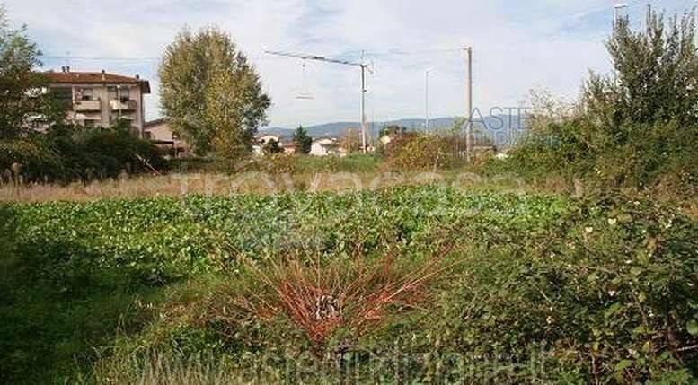 immagine annuncio 3 di 11