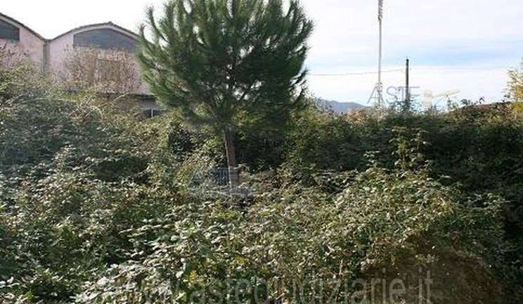 immagine annuncio 4 di 11