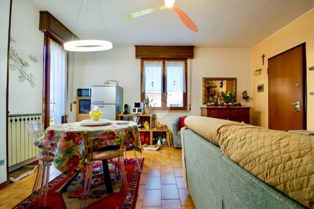 immagine annuncio 1 di 14