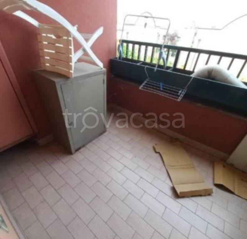 immagine annuncio 3 di 11