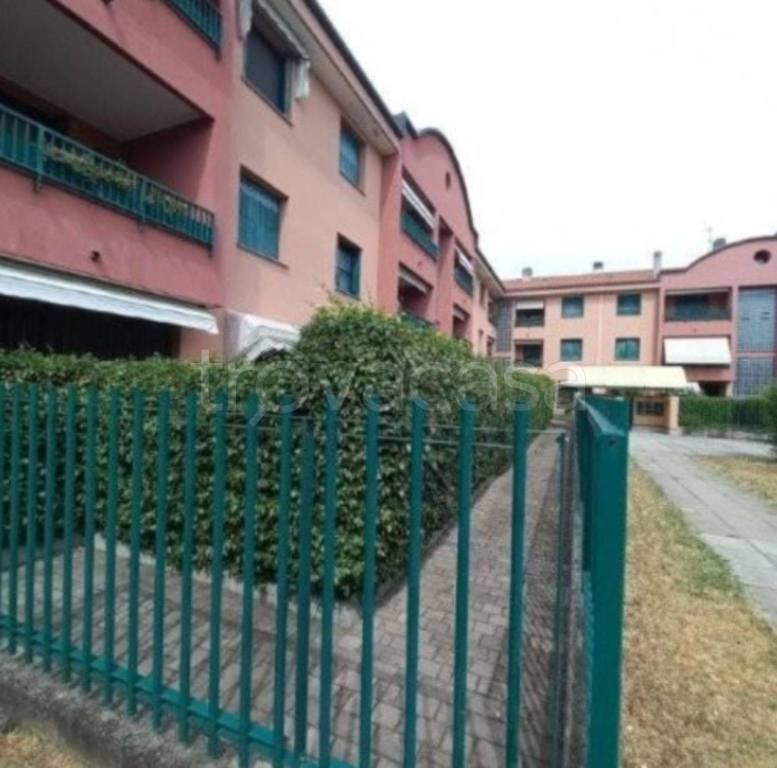 immagine annuncio 8 di 11