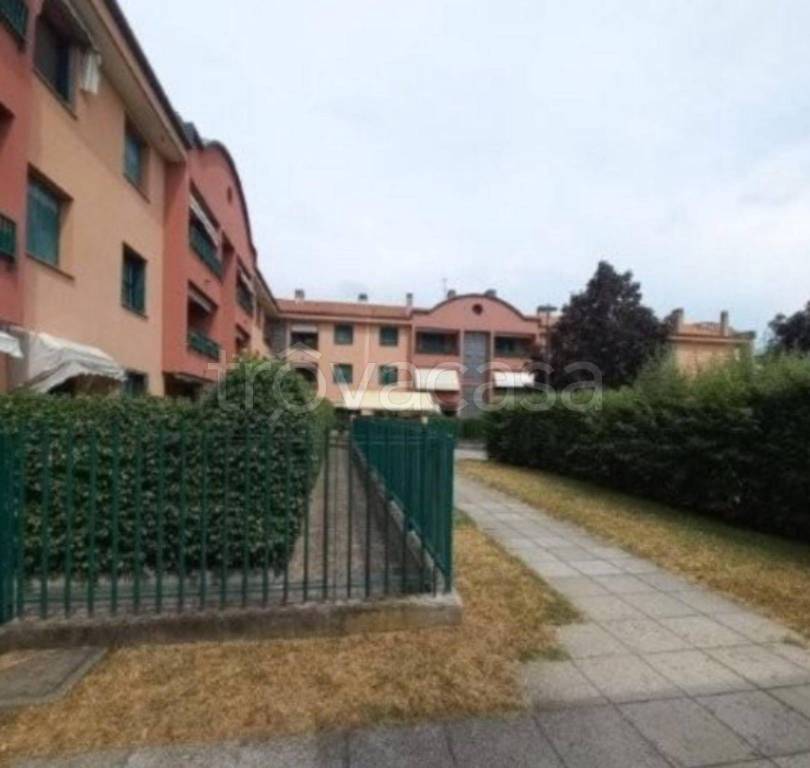 immagine annuncio 9 di 11