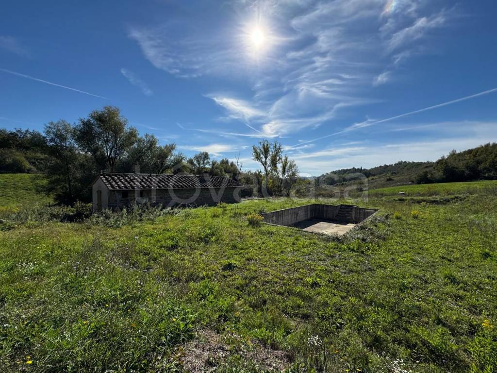 immagine annuncio 10 di 13