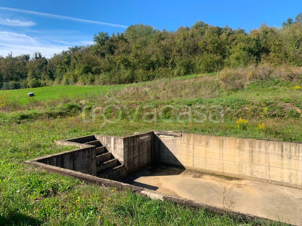 immagine annuncio 12 di 13