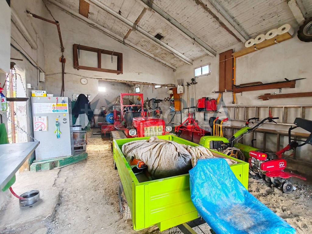 immagine annuncio 7 di 10