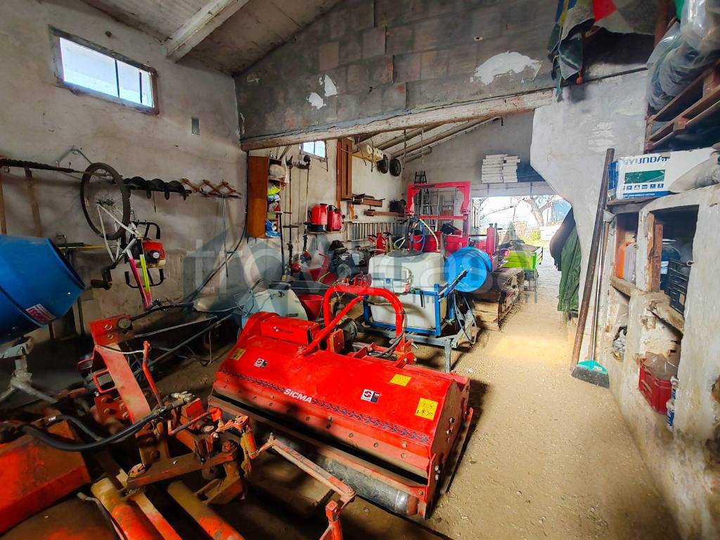 immagine annuncio 8 di 10