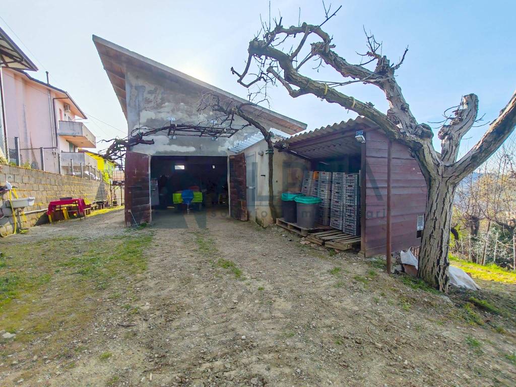 immagine annuncio 6 di 10