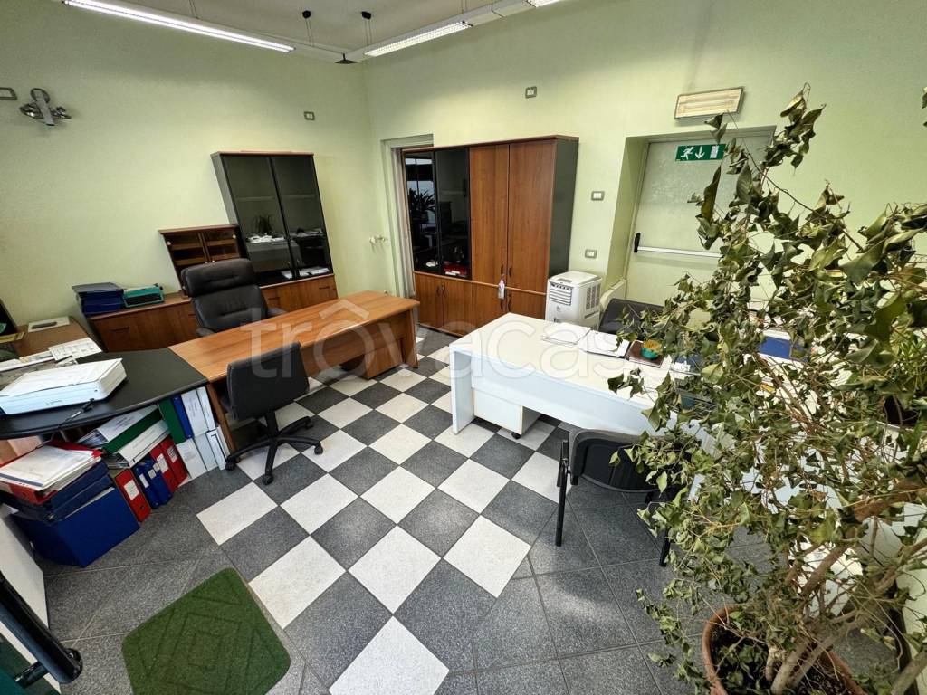 immagine annuncio 2 di 13