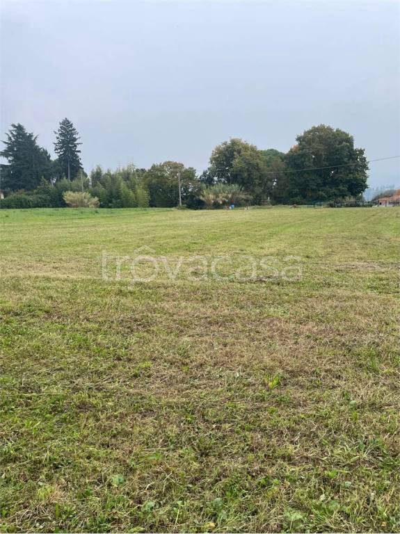 immagine annuncio 4 di 8