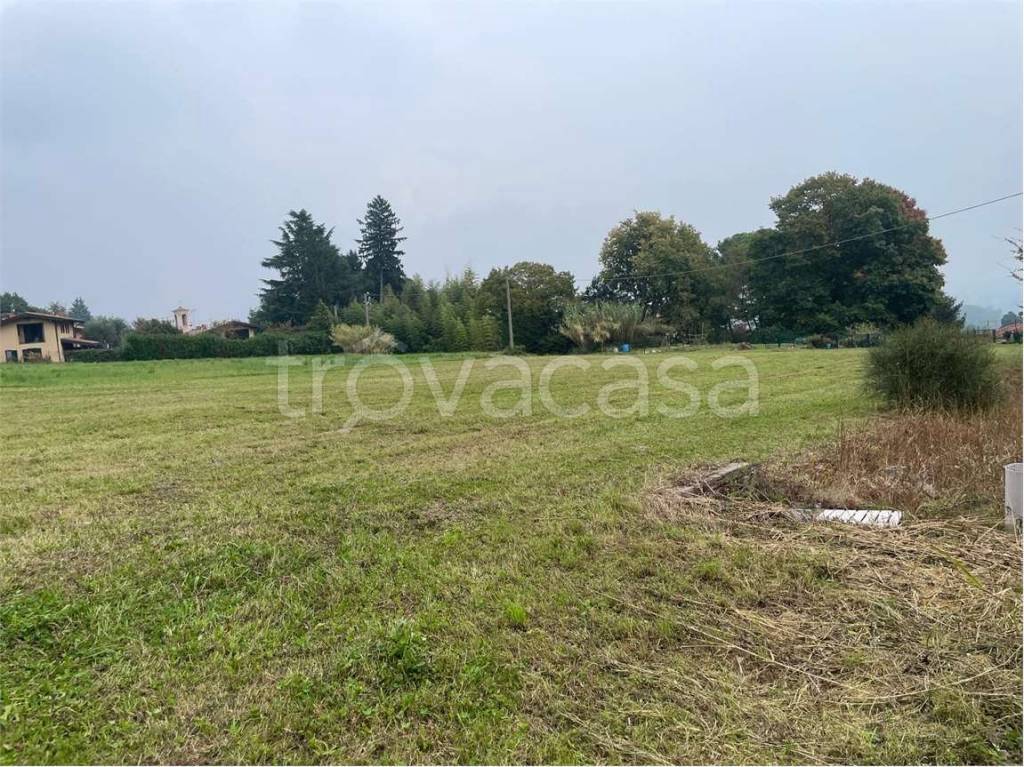 immagine annuncio 5 di 8