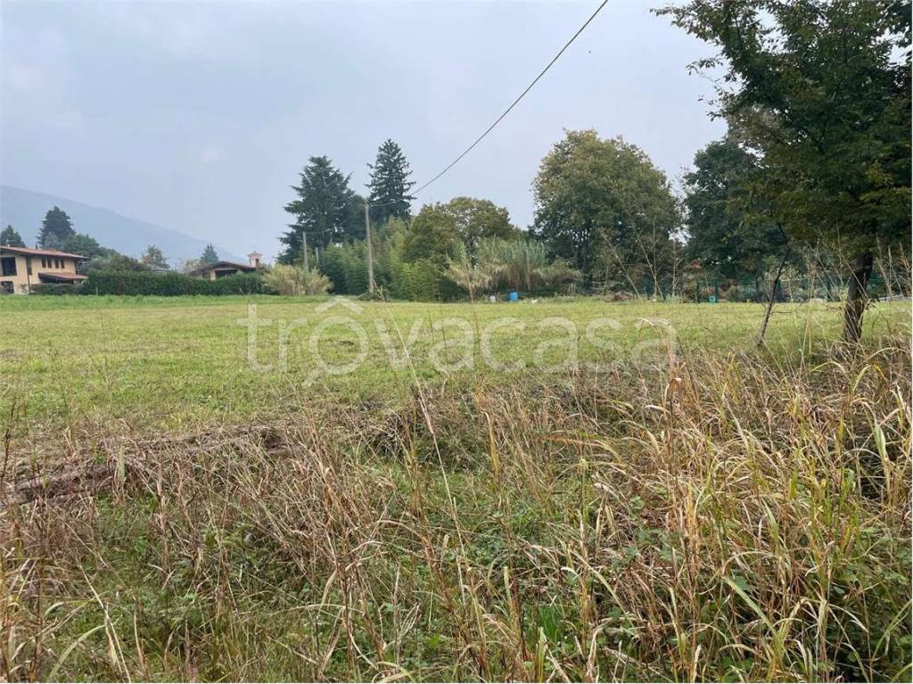 immagine annuncio 7 di 8