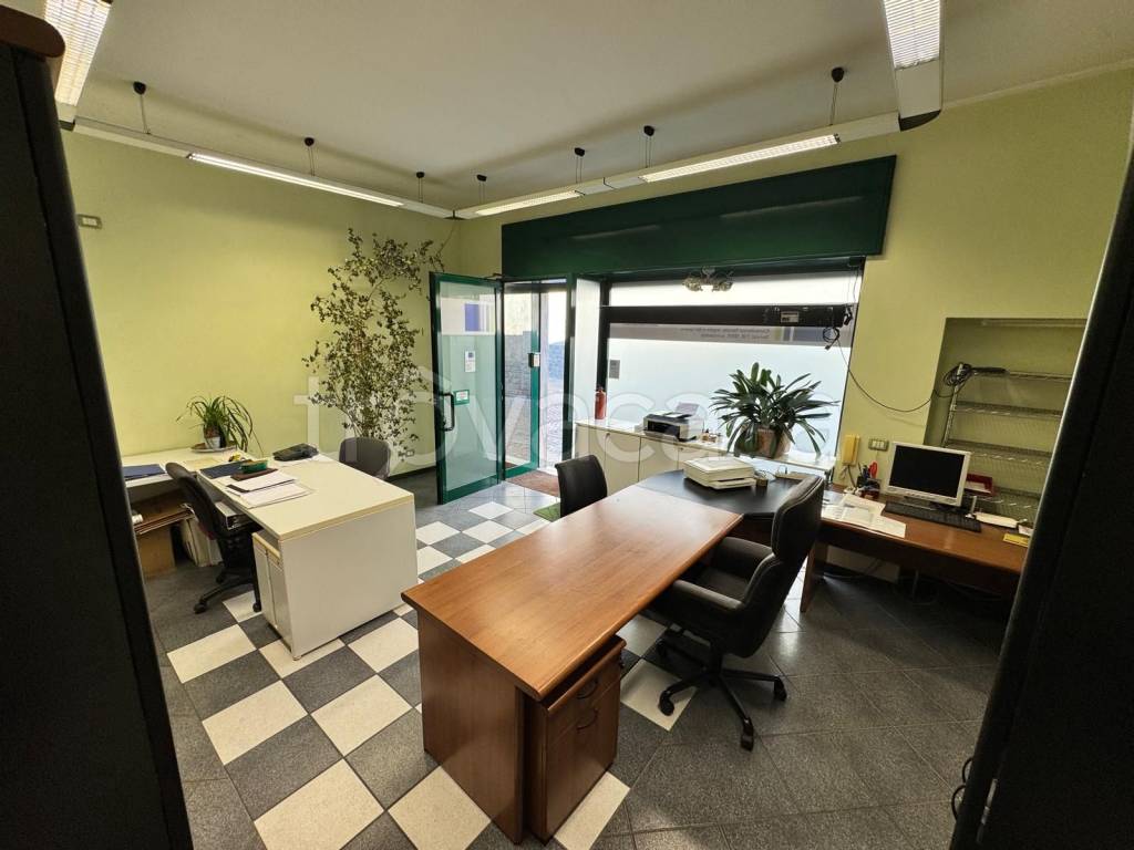 immagine annuncio 5 di 13