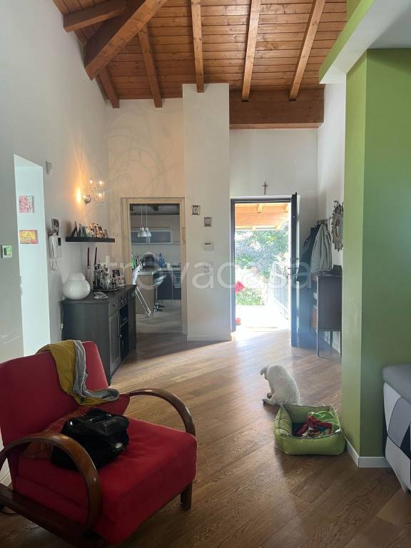 immagine annuncio 3 di 9