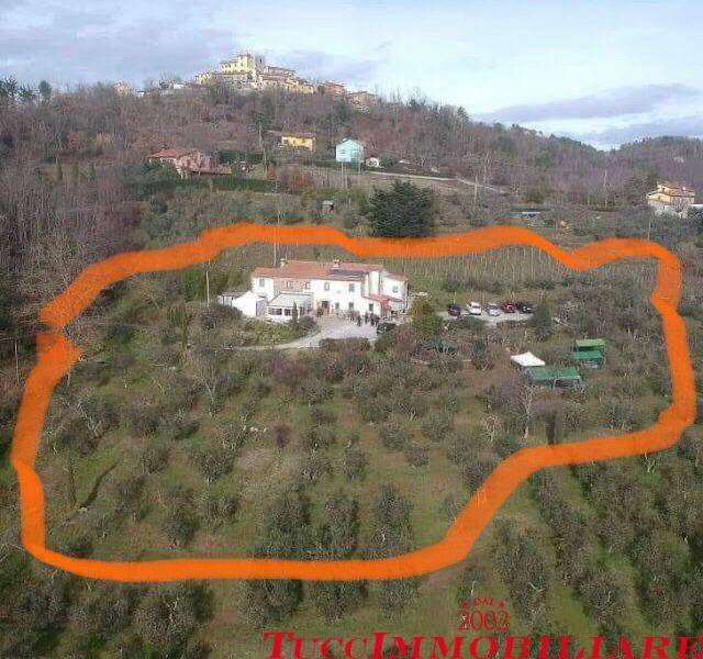 immagine annuncio 14 di 15