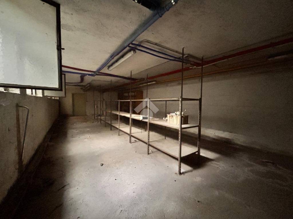 immagine annuncio 6 di 14