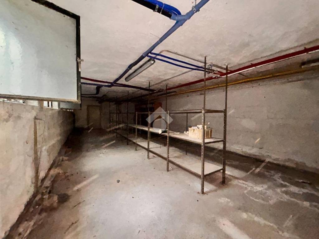 immagine annuncio 7 di 14