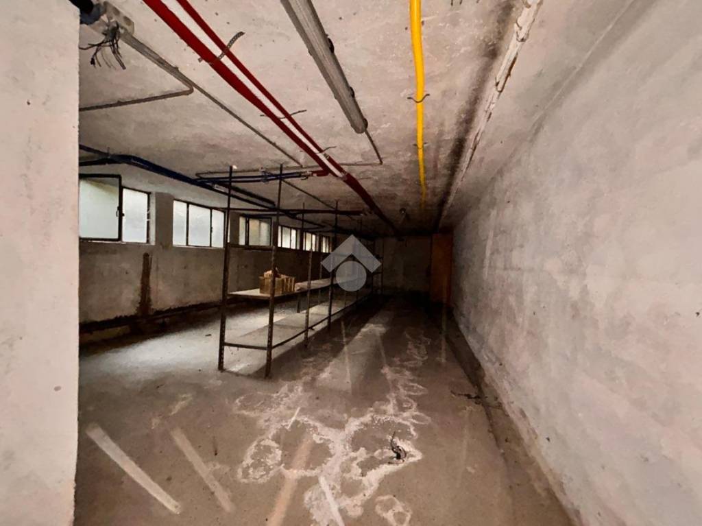 immagine annuncio 9 di 14