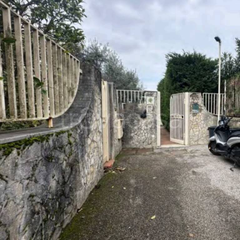 immagine annuncio 2 di 14