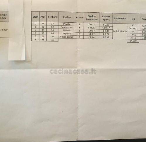 immagine annuncio 9 di 10