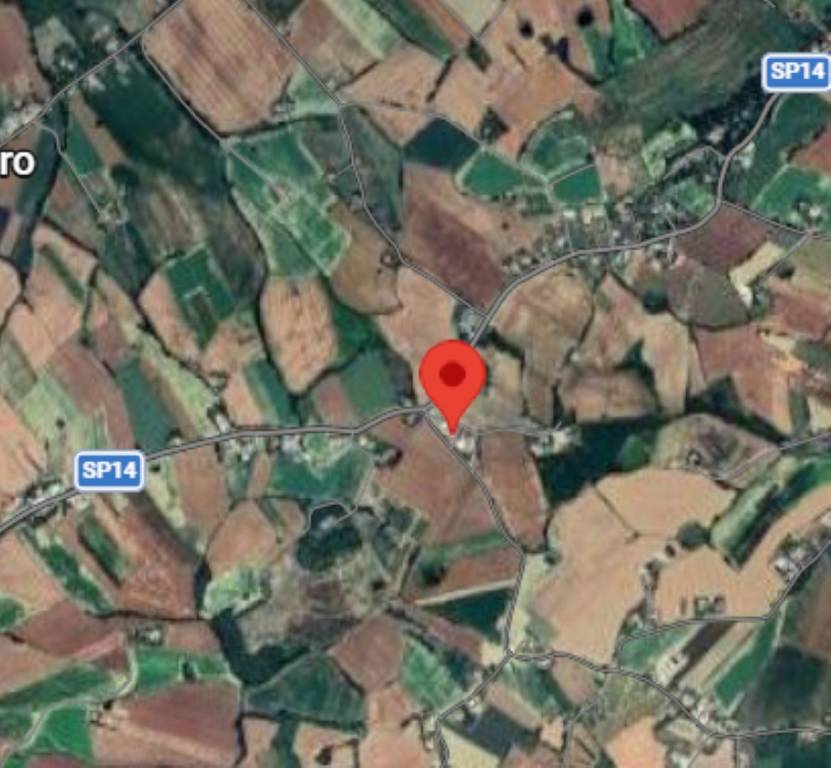 immagine annuncio 4 di 12